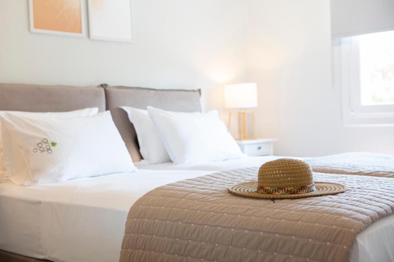 Grappolo Lefkada Villas - Vilana Ideal For Families And Small Groups Apolpaina 외부 사진
